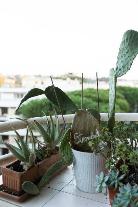 Casa 'Ttaja - Mediterranean Eco-Apartment Roma Ngoại thất bức ảnh